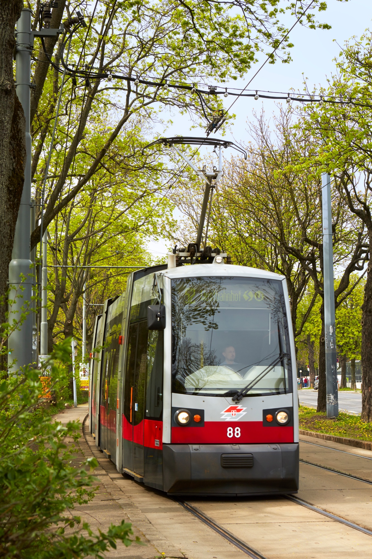 Wiener Linien Straßenbahn auf grüner Allee